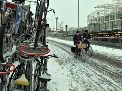 The Netherlands. Winter